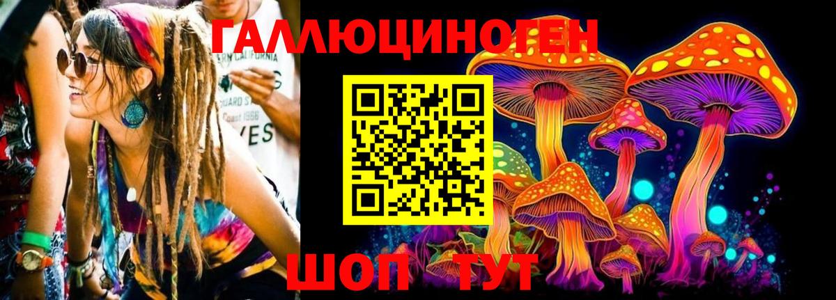 Железногорск  как найти наркотики  Вход с VPN  Галлюциногенные грибы мицелий 