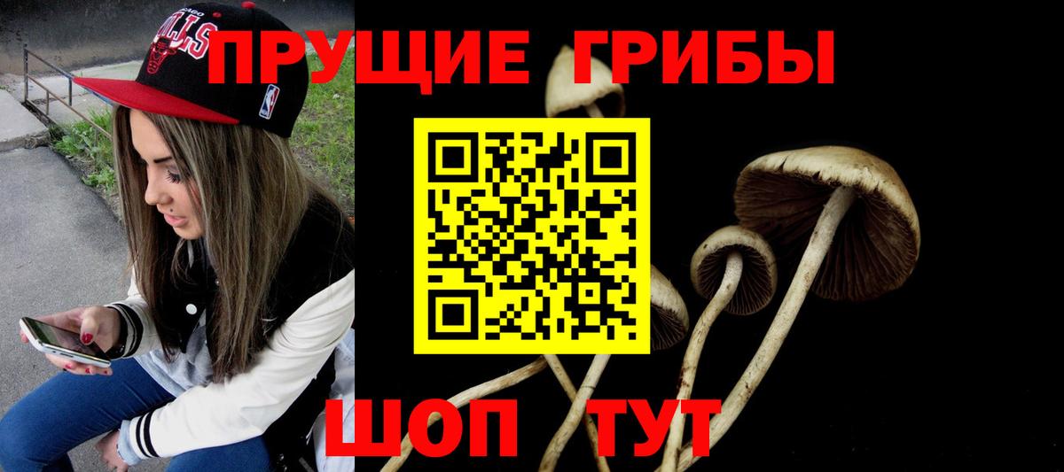 Галлюциногенные грибы прущие грибы Железногорск